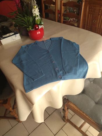 Gilet fin bleu. T 44