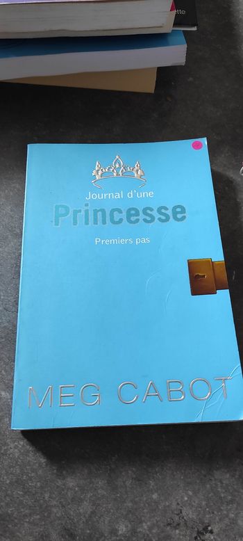 Journal d'une princesse - 2 - Premiers pas