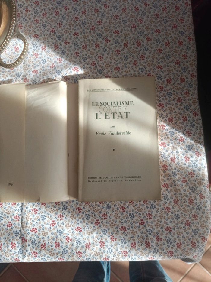Le Socialisme contre l'Etat - photo numéro 2
