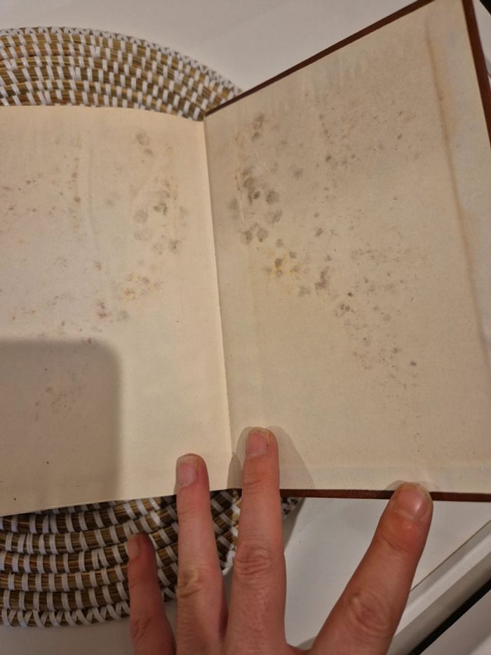 Dictionnaire des noms et prénoms de france - photo numéro 3