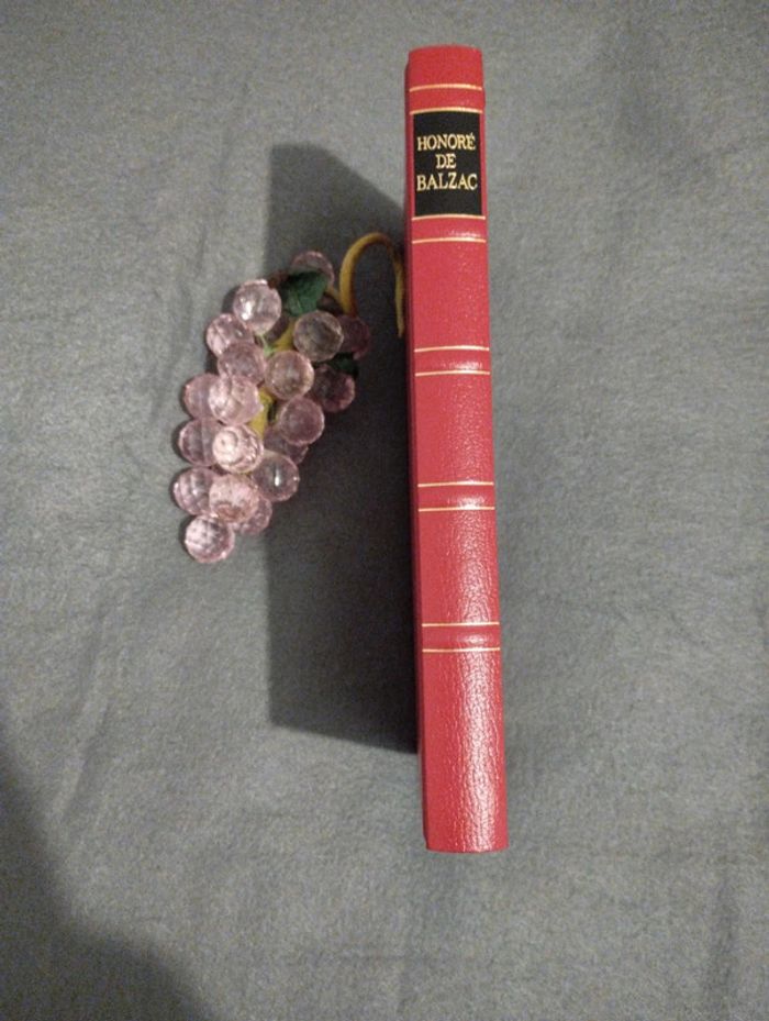 La Rabouilleuse de Balzac - photo numéro 3