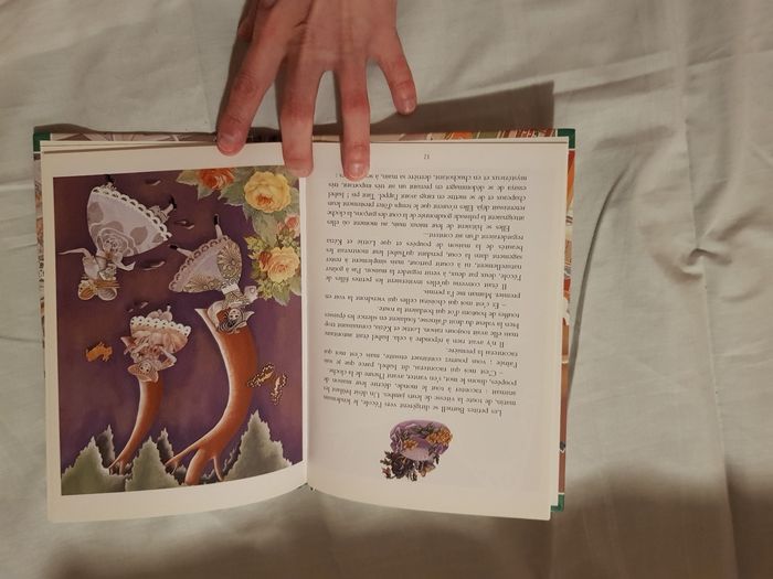 Livre la maison des poupées - photo numéro 3