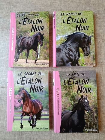 Lot 4 livres l'étalon noir bibliothèque rose
