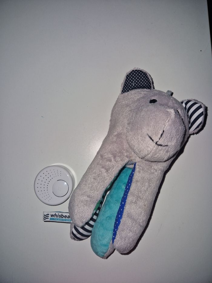 Oursons whisbear - photo numéro 2