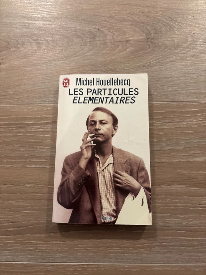 Livre les particules élémentaires