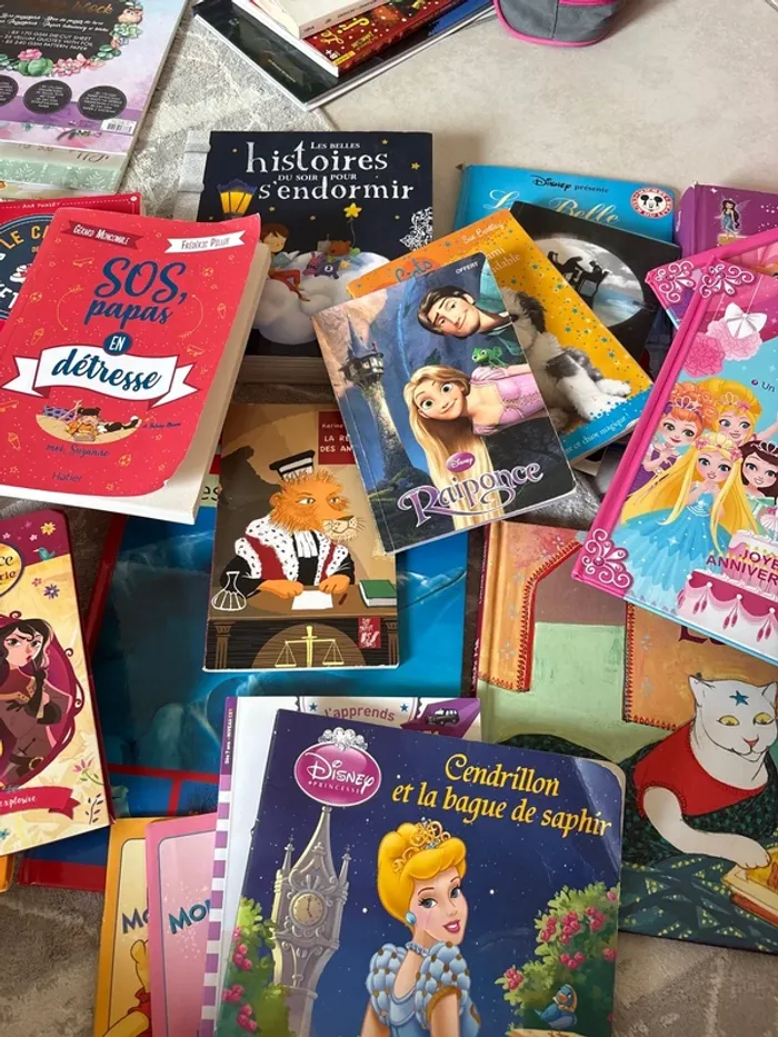Lot de livre primaire /maternelle - photo numéro 3