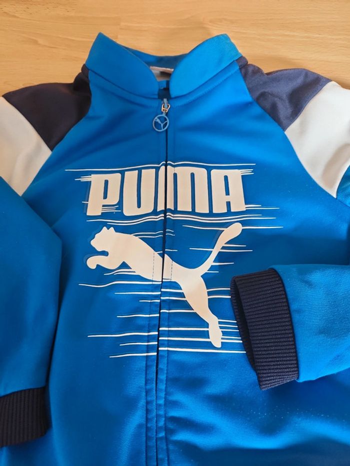 Veste puma - photo numéro 2