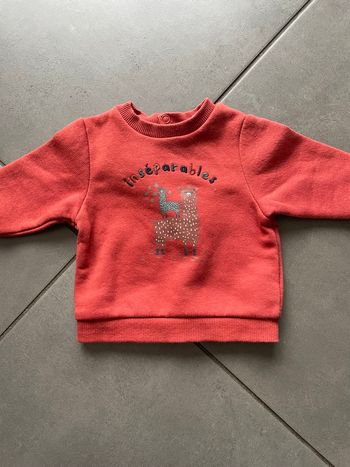Pull 3 mois