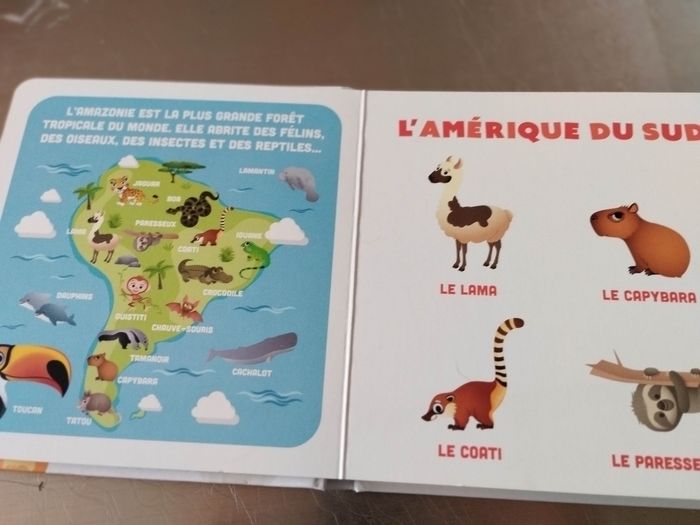 Livre enfant Disney baby mes premiers imagiers les animaux du monde - photo numéro 7