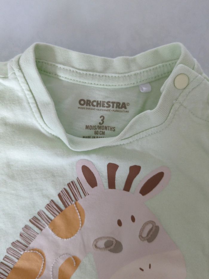 Tee shirt 3 mois - photo numéro 2