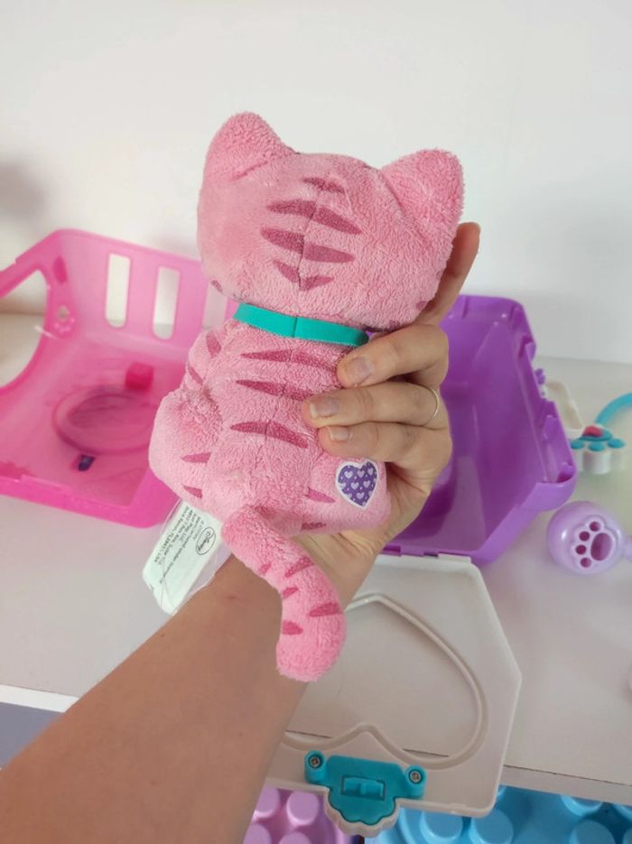 chat à soigner - photo numéro 8