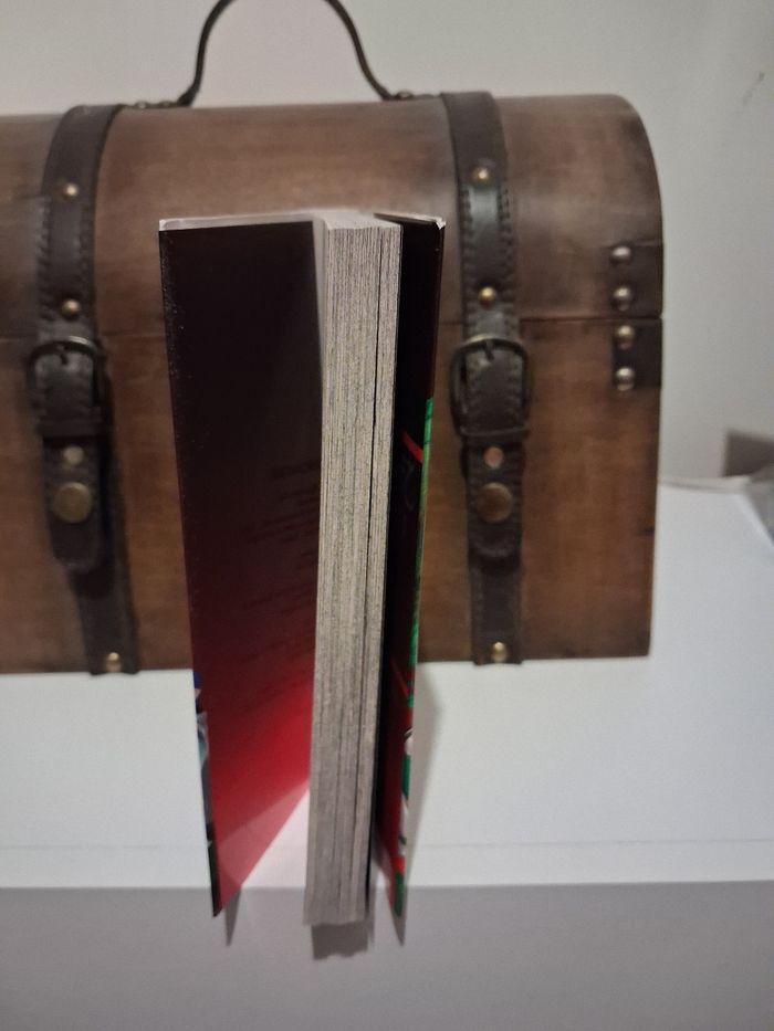 Manga Shangri La Frontier tome 13 collector jaquette alternative Fnac édition limitée - photo numéro 3