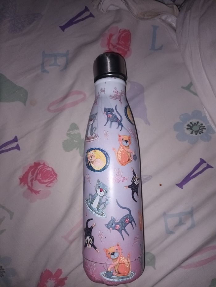 Gourde chat - photo numéro 2