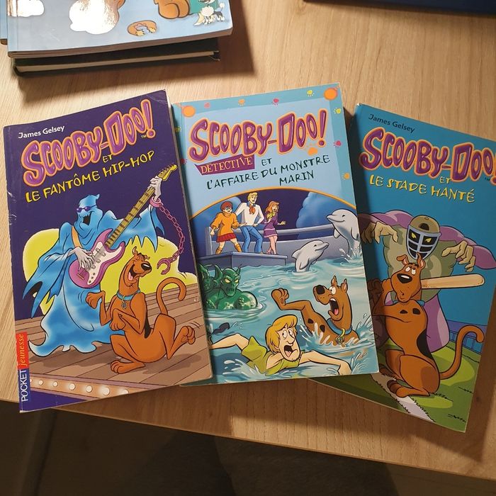 Lot de 3 mini livres scoubidou