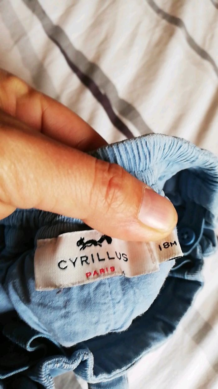 Short en coton - photo numéro 3