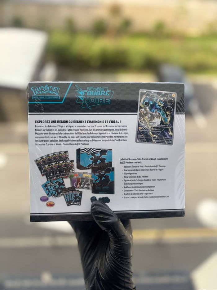 Etb ev10.5 Foudre Noire - photo numéro 2