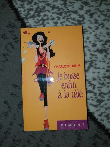 Livre "Je bosse enfin à la télé"