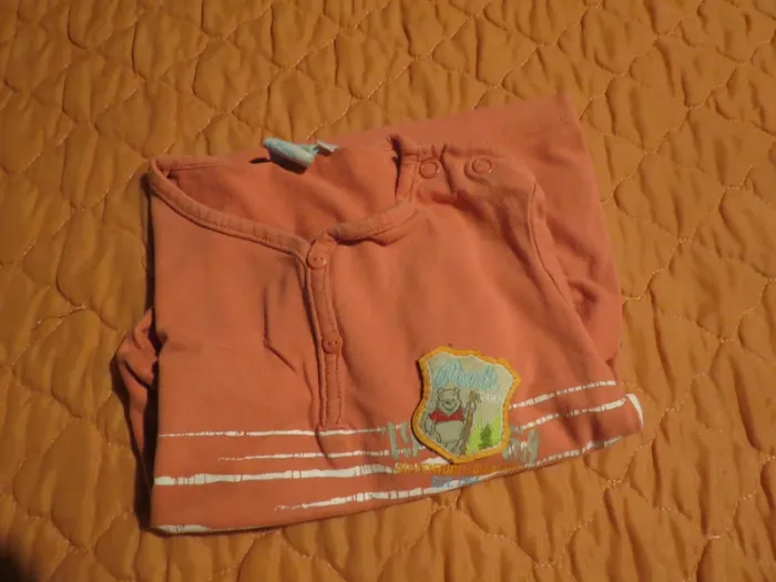 T-shirt taille  18 mois garçon