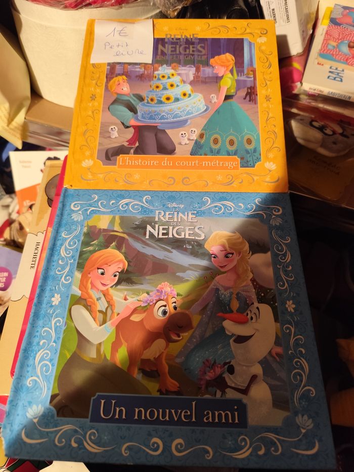 Lot 2 livres elsa