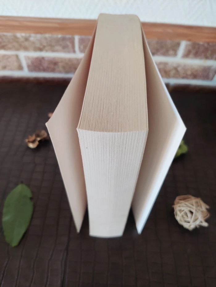 Da Vinci Code - Dan Brown - photo numéro 3