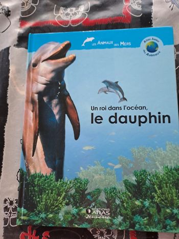 Livre Un Roi dans l'Océan, Le Dauphin