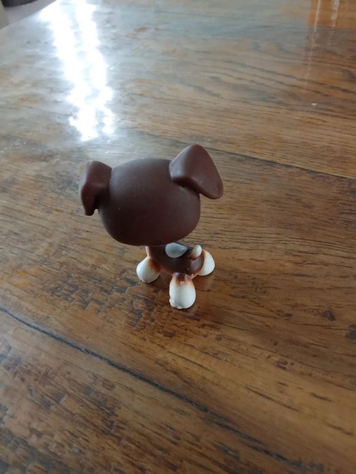 Petshop chien boxer - photo numéro 2