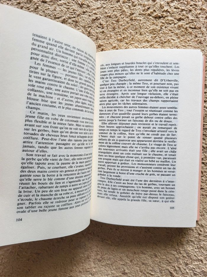 Livre relié "Tess d'Uberville" de Thomas Hardy - photo numéro 7