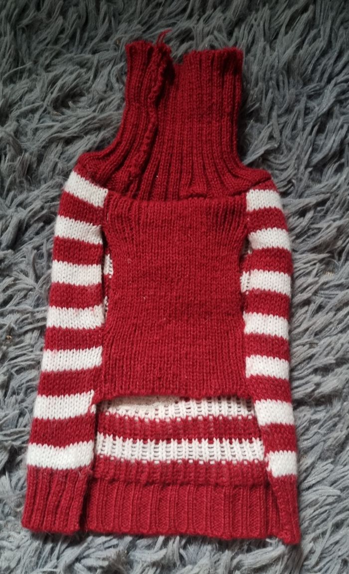 Pull de Noël 🎅 taille XS chien ou chat - photo numéro 2