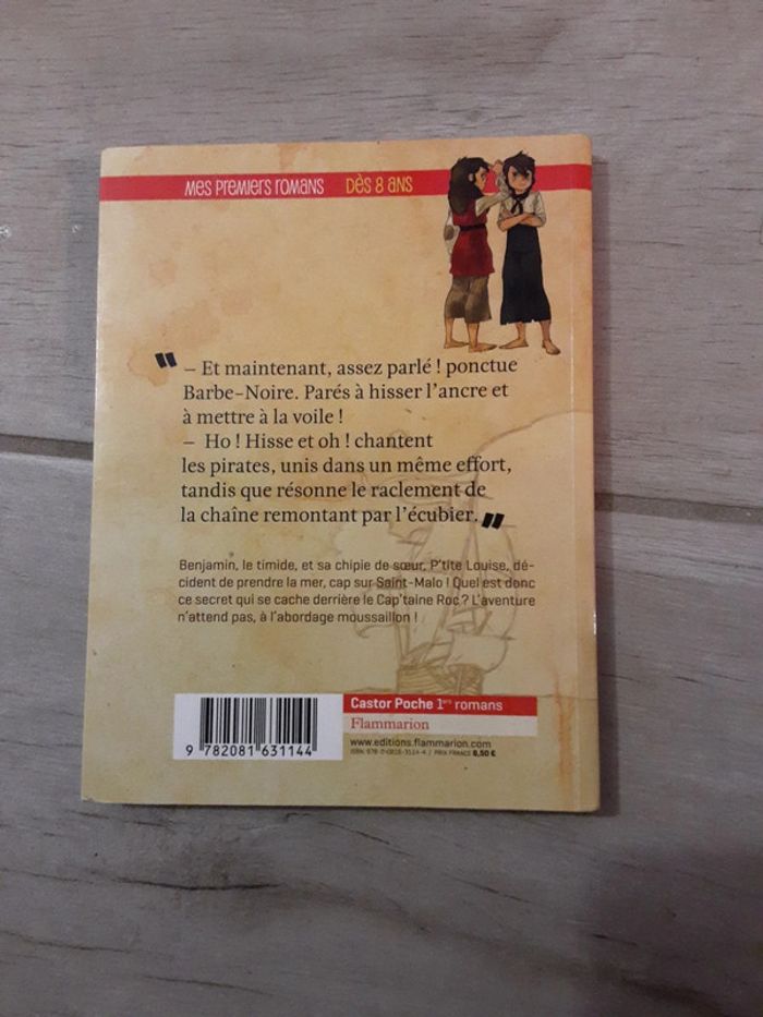 Pavillon noir - tome 1-  graine de pirates - photo numéro 2