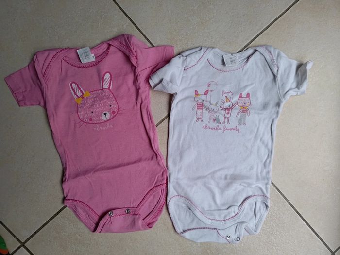 Lot 2 body lapin