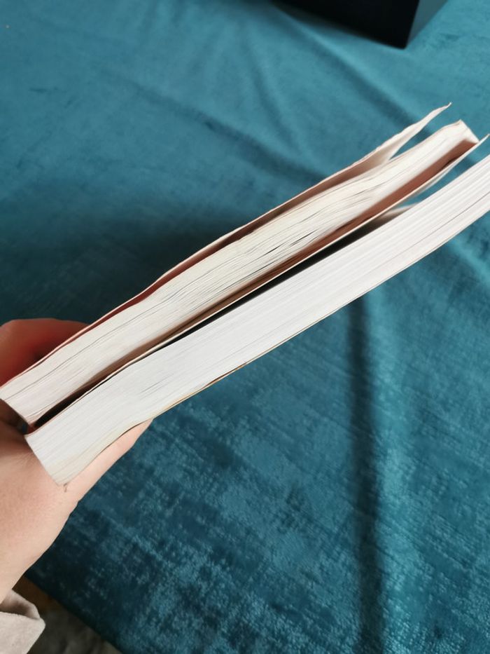 Lot de 2 manuels éd. Dunod Monnaie et financement de l'économie et la théorie macroéconomique - photo numéro 9