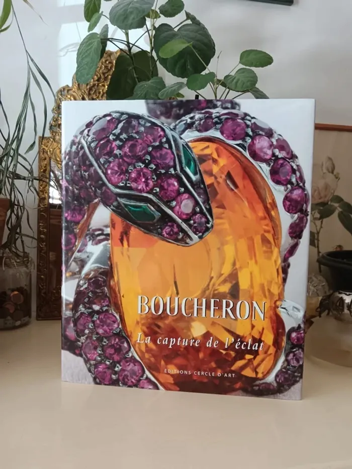 Livre Boucheron la capture de l'éclat