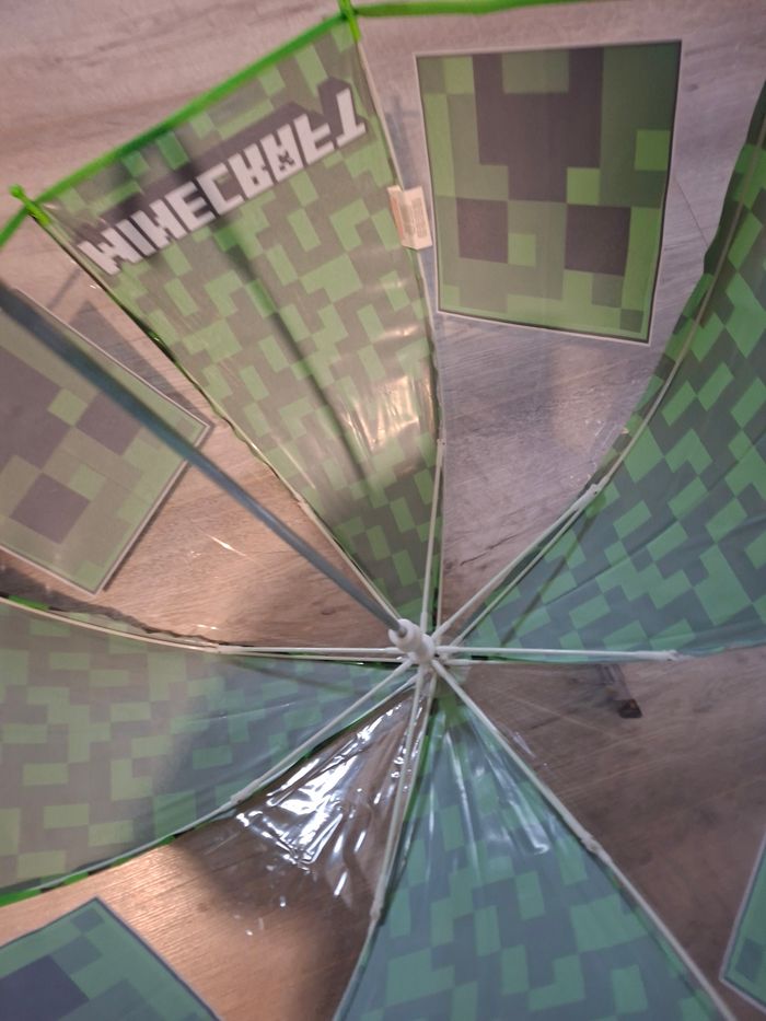 Para minecraft - photo numéro 5