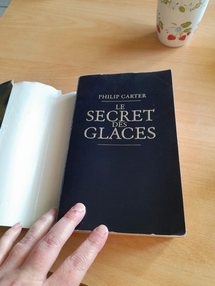 Le secret des glaces - photo numéro 5