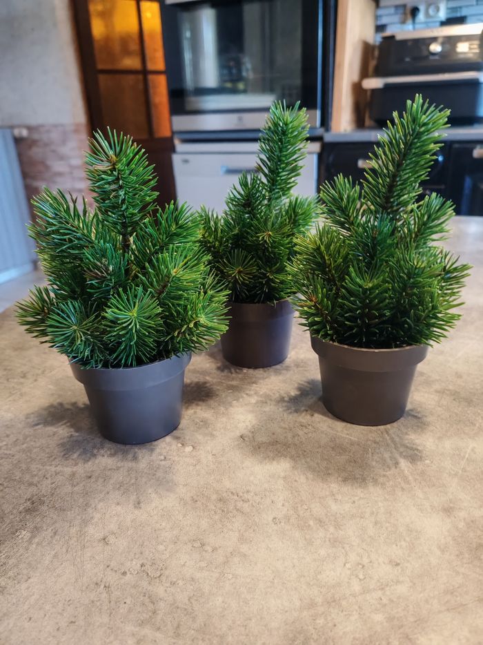 Lot petits sapins