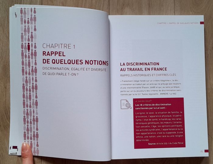 Anissa Djabi - le Label diversité - photo numéro 8