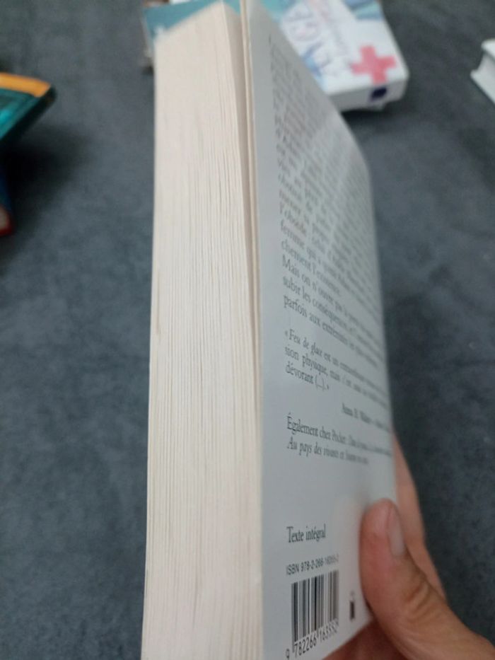 Feu de glace - photo numéro 4