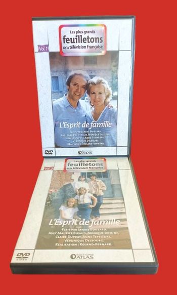 DVD L'esprit de Famille - Intégrale Série TV (2 DVD)