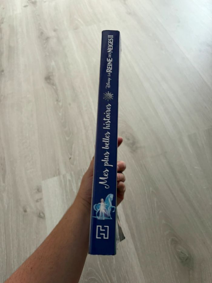 Grand livre reine des neiges 2 - photo numéro 4