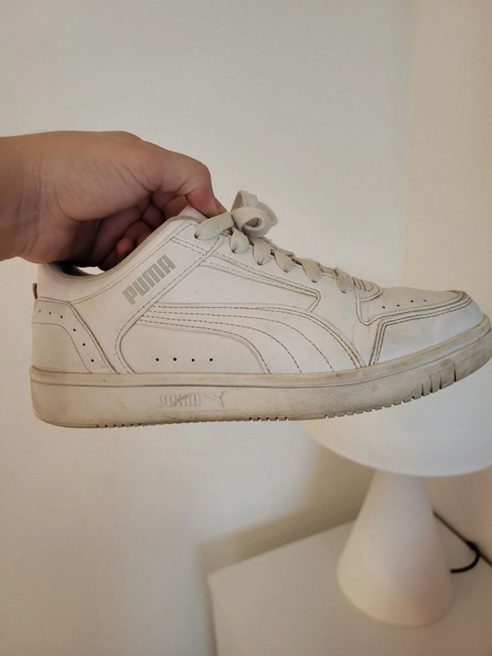 Baskets puma - photo numéro 3