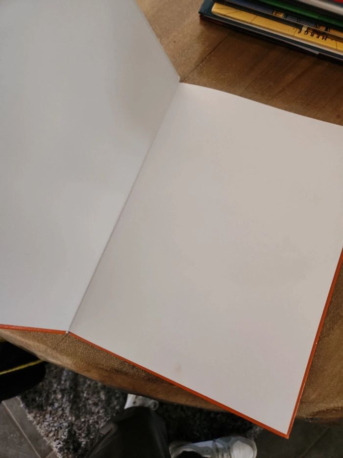 Lot de 2 bande dessinée : Ma première BD - photo numéro 10