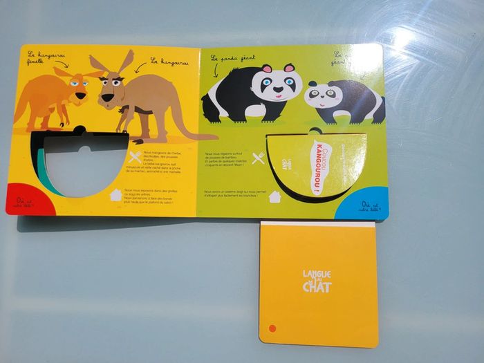Livre surprise grand format 🦘 Coucou Kangourou ! 🦘 éditions langue de chat - photo numéro 6