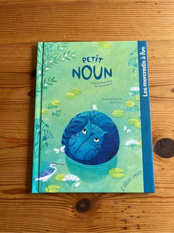 Livre Petit Noun