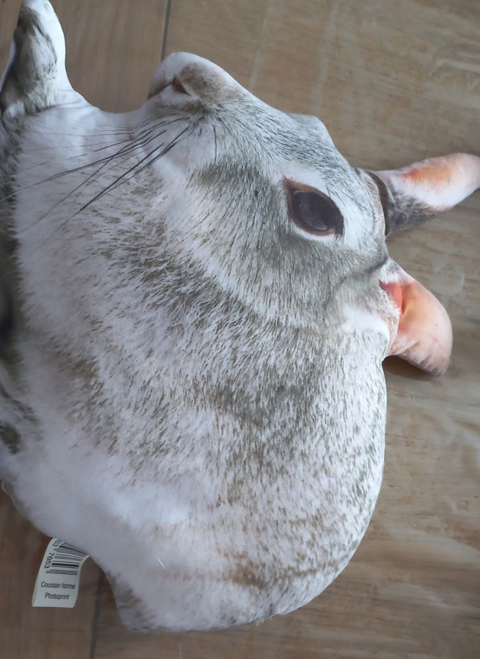 Coussin lapin - photo numéro 2