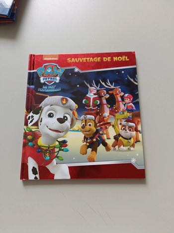 Livre Pat patrouille sauvetage de Noël