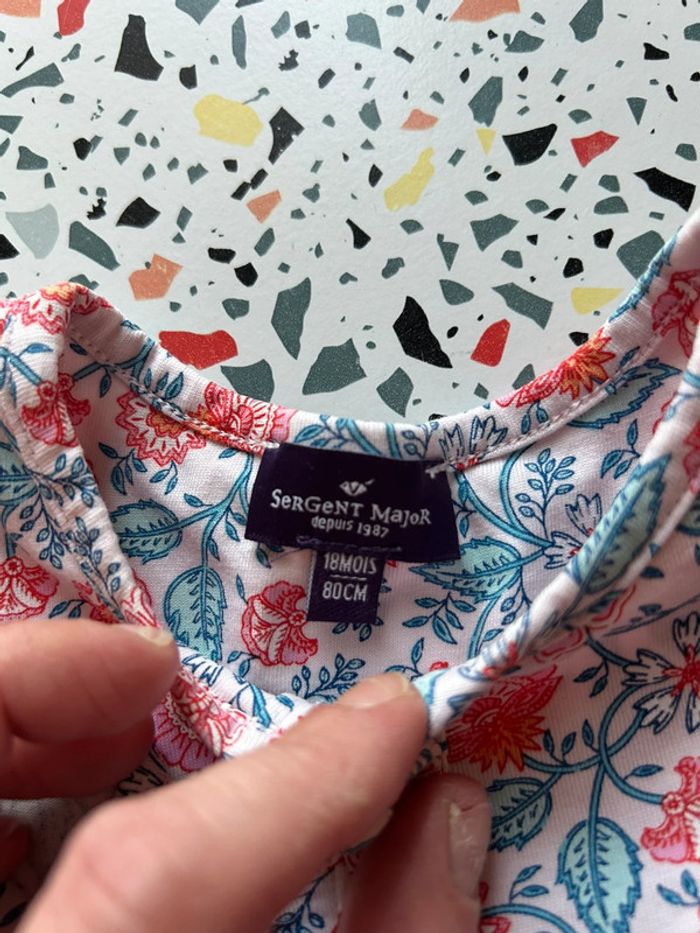 Barboteuse sergent major - photo numéro 5