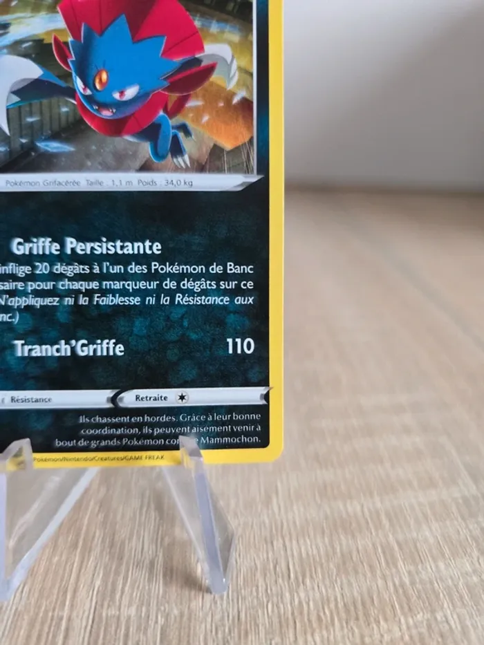 Dimoret SWSH246 - photo numéro 4