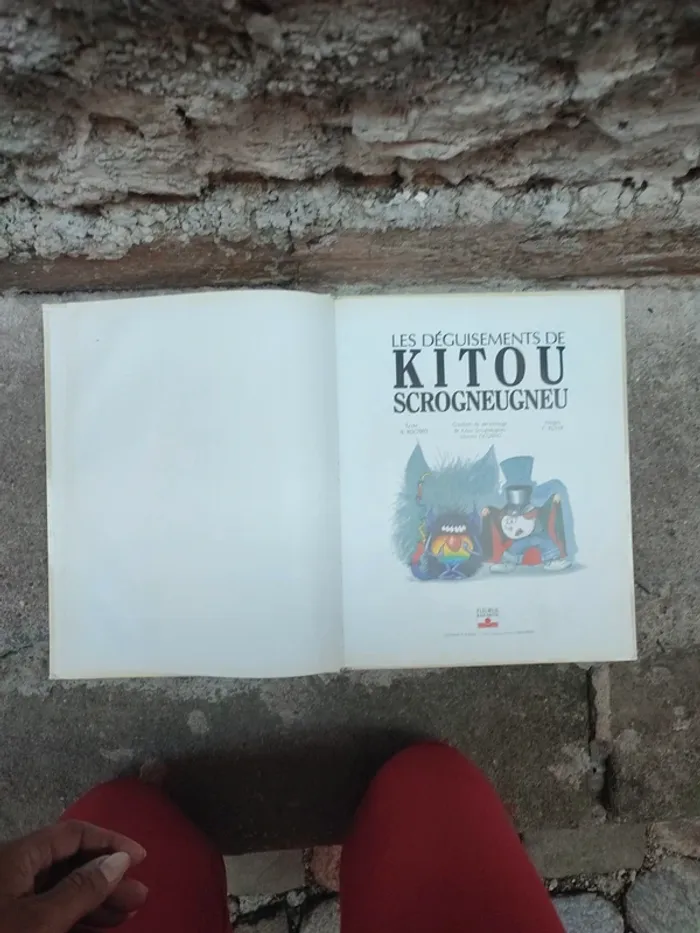 Livre le déguisement de kitou scrogneugneu - photo numéro 12