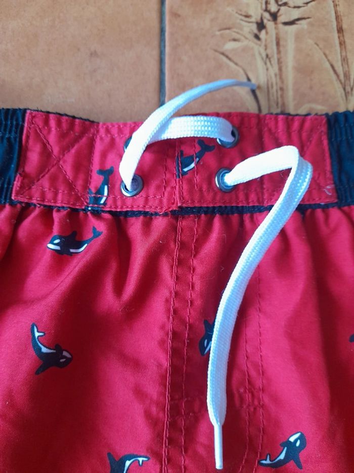 Shorts poissons - photo numéro 9