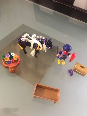 Lot Playmobil équitation